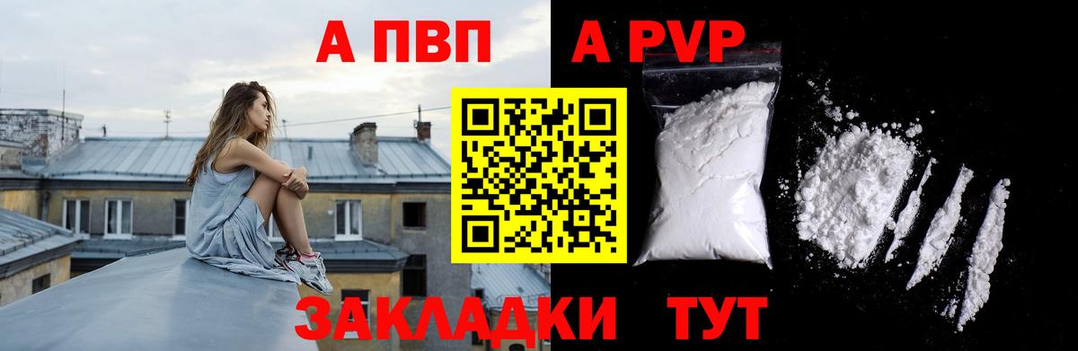 Alfa_PVP СК Будённовск