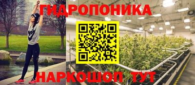 шишки Ивантеевка