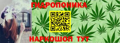 шишки Ивантеевка