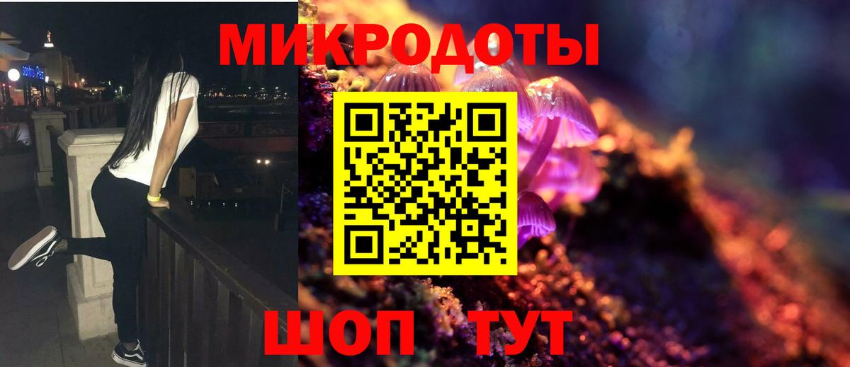 Псилоцибиновые грибы GOLDEN TEACHER Будённовск