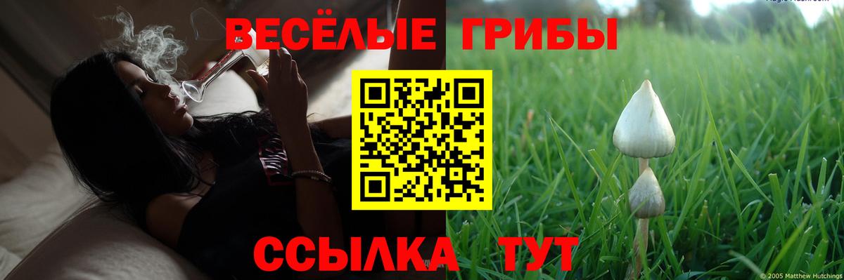 Псилоцибиновые грибы ЛСД  Вход с VPN  Будённовск 